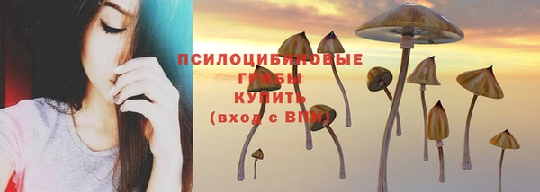 MDMA Premium VHQ Белокуриха